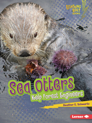 cover image of Sea Otters